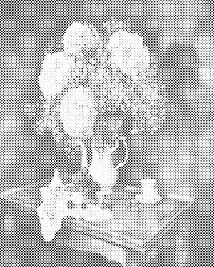 Buket hortenzija - Dottingo