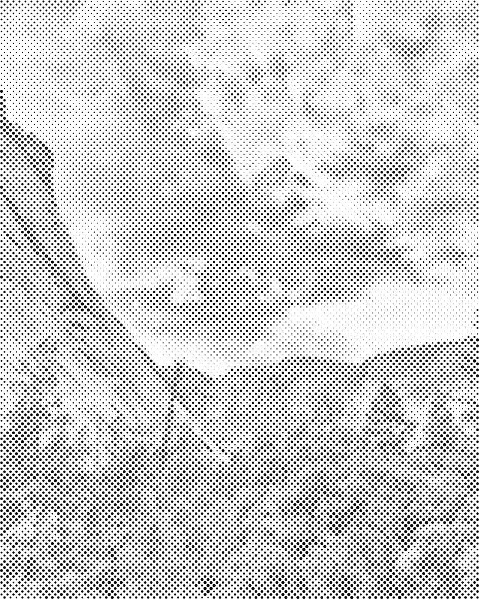 Nacionalni park Yosemite - Dottingo