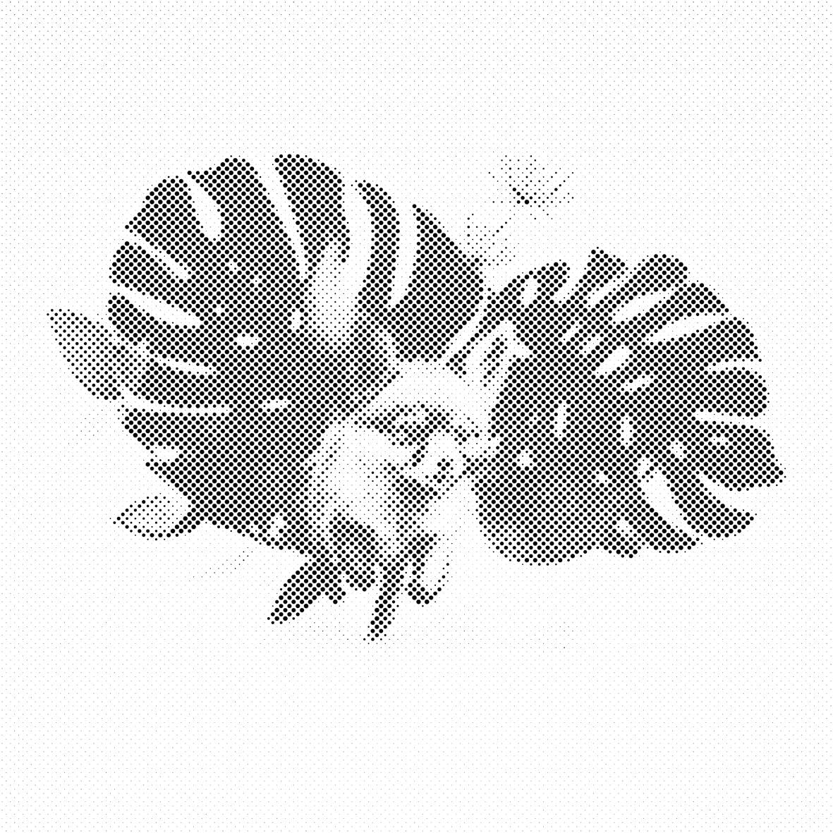 Lisica i biljka monstera - Dottingo