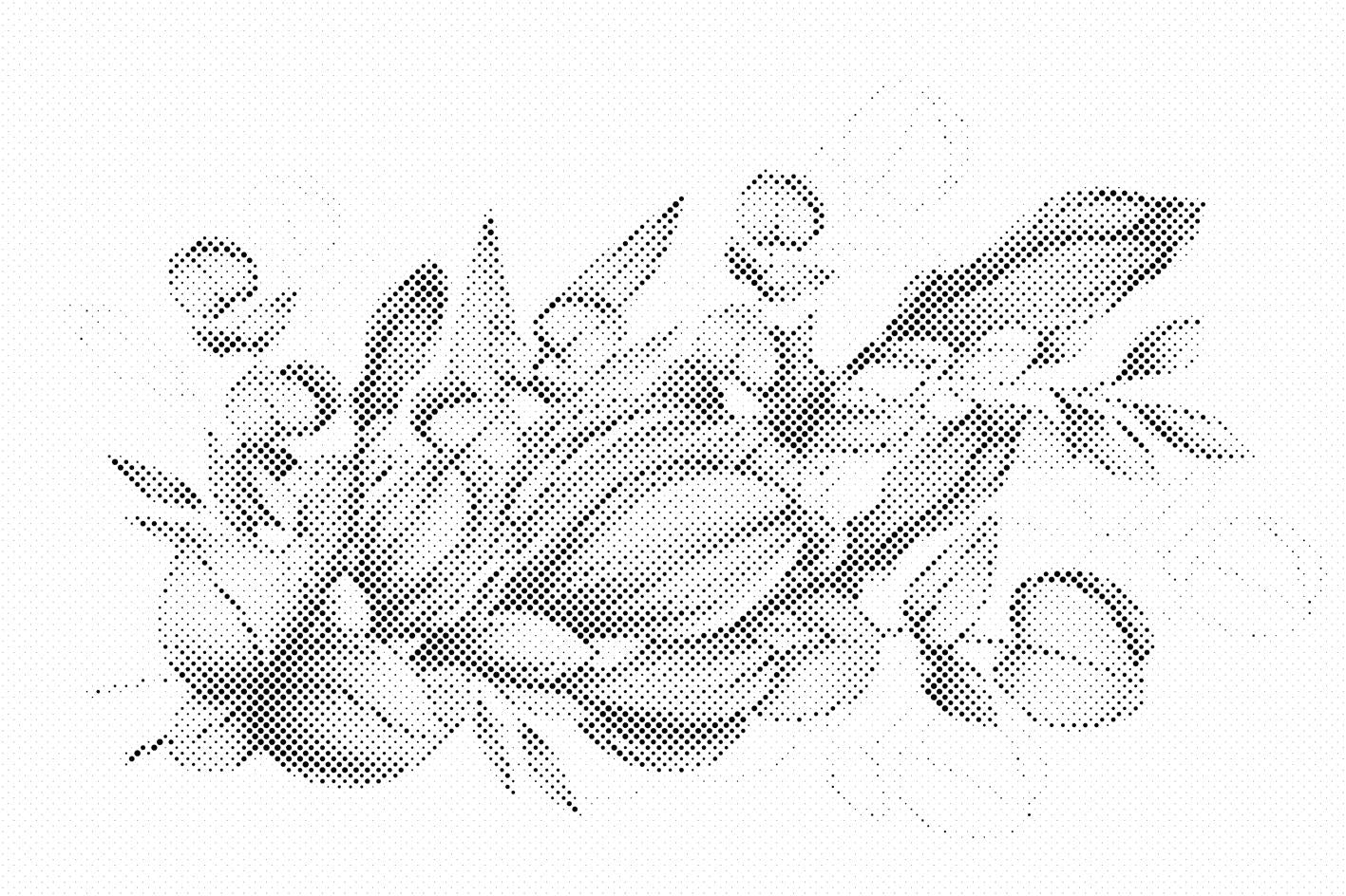 Ljubičasto cvijeće - Dottingo