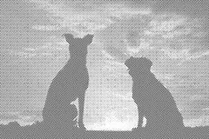 Psi Prijatelji - Dottingo