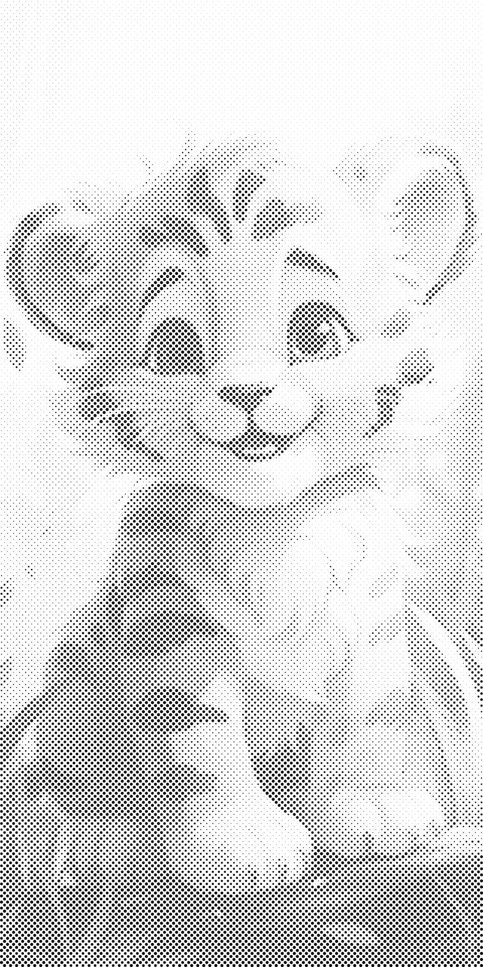 Mladunac tigra - Dottingo