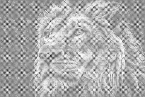 Lav na kiši - Dottingo