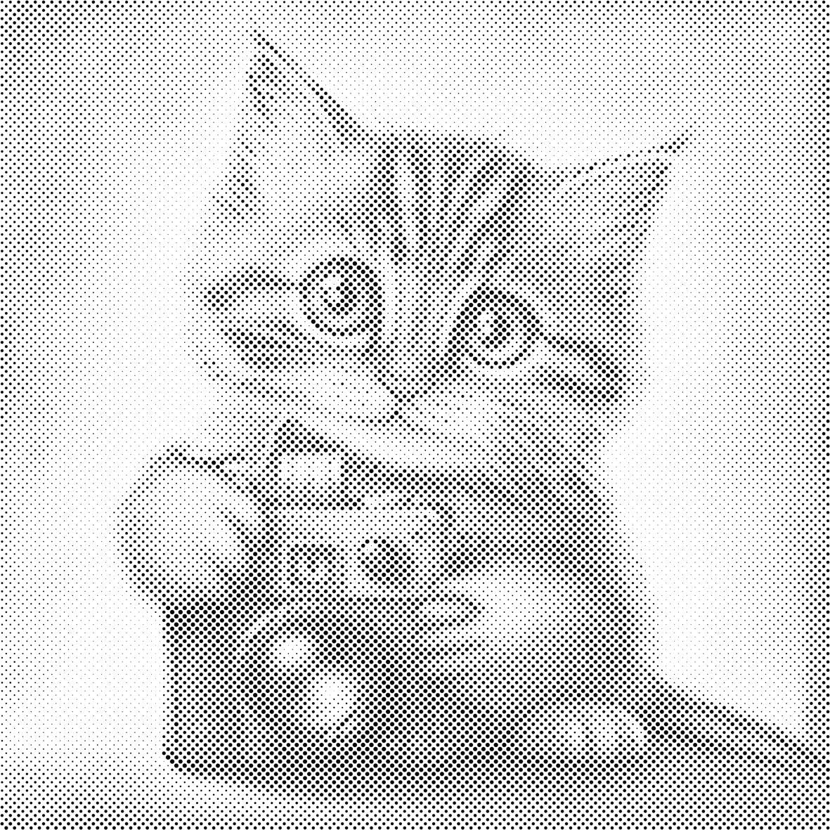 Mačić s kamerom - Dottingo