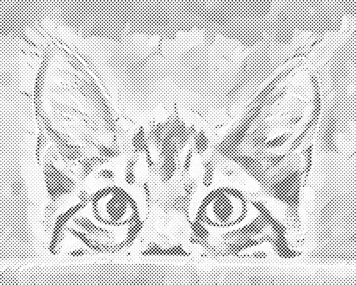 Znatiželjne oči - Dottingo