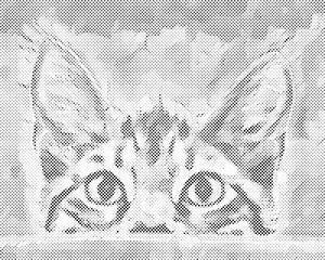 Znatiželjne oči - Dottingo