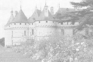 Dolina dvorca Loire - Dottingo