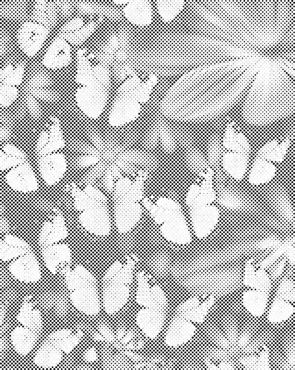 Šareni leptiri - Dottingo