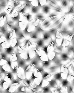 Šareni leptiri - Dottingo