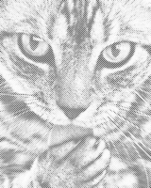 Slatka mačka - Dottingo