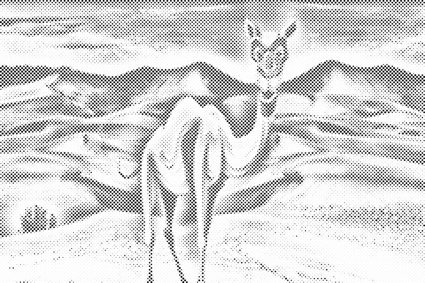 Deva u pustinji - Dottingo