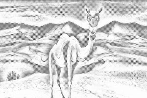 Deva u pustinji - Dottingo