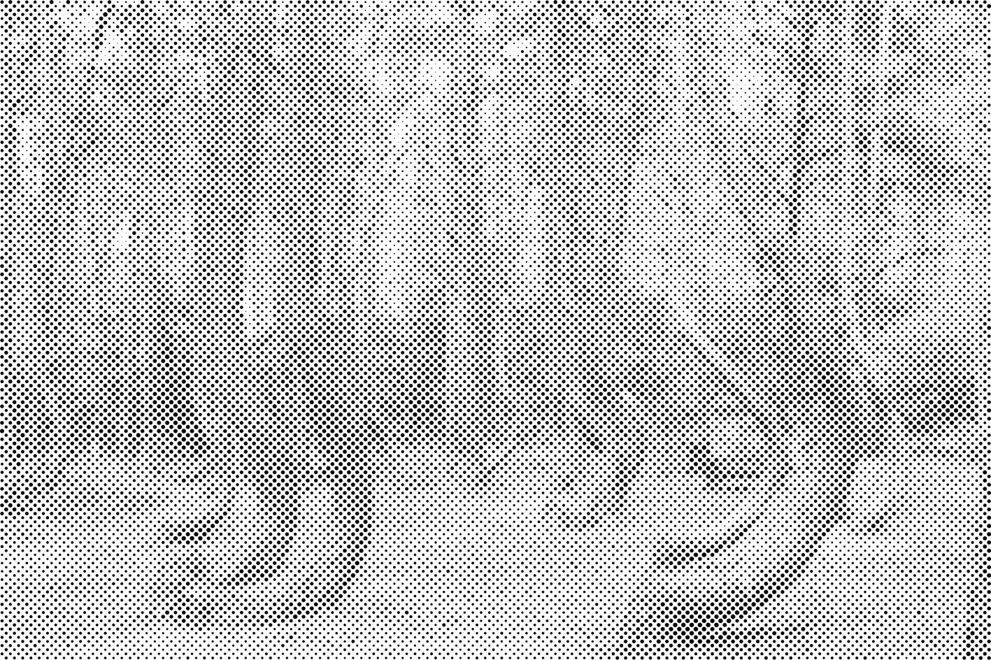 Kriva šuma u Poljskoj - Dottingo