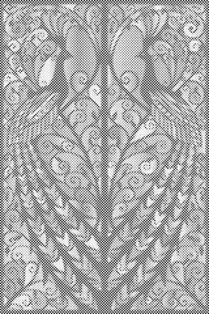 Paunov prozor - Dottingo