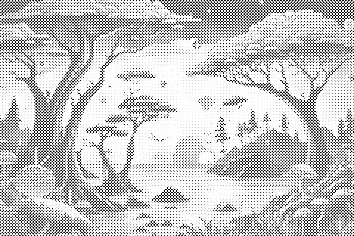 Šuma puna gljiva - Dottingo