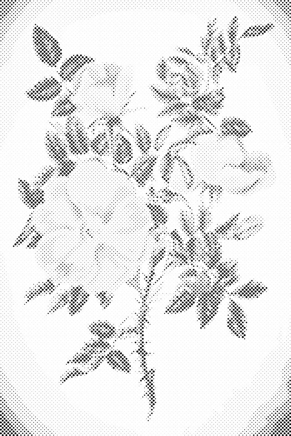 Vintage cvijeće III - Dottingo