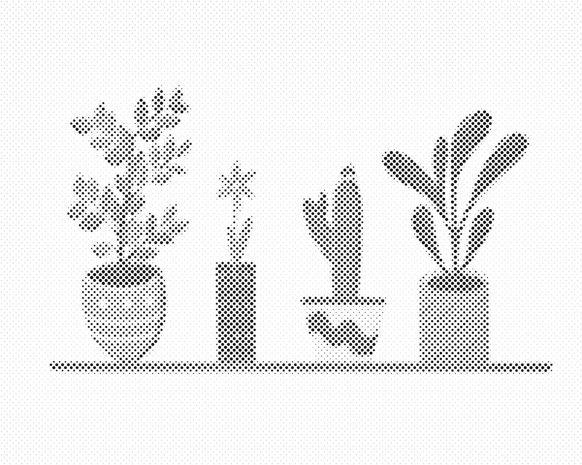 Cvijeće u sobi - Dottingo