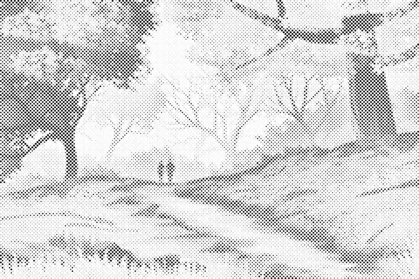 Jesenska priroda - Dottingo