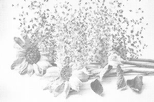 Raspršeni suncokreti - Dottingo