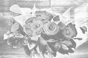 Buket crvenih ruža - Dottingo