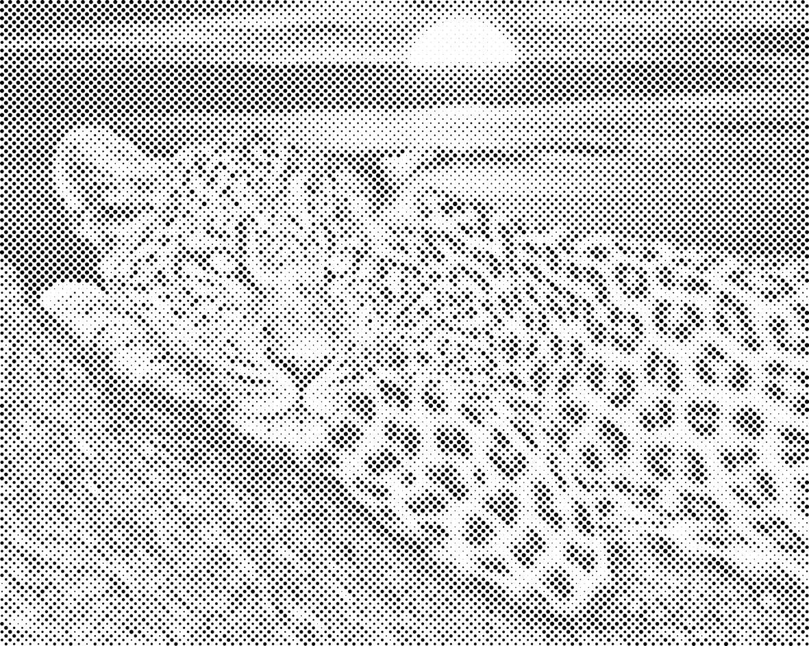 Leopard dok zalazi sunce - Dottingo