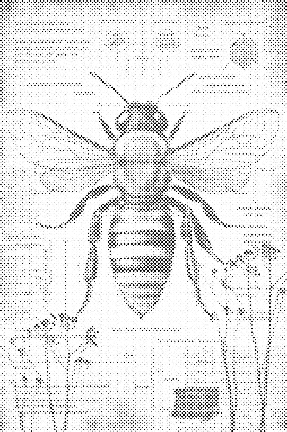 Sve o pčelama - Dottingo