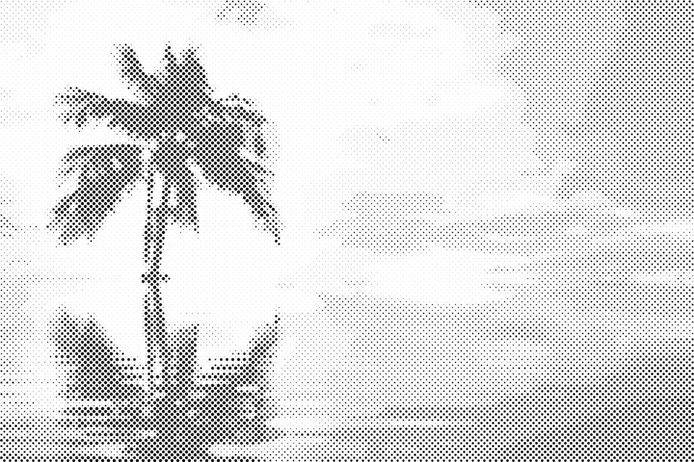 Palma na moru - Dottingo