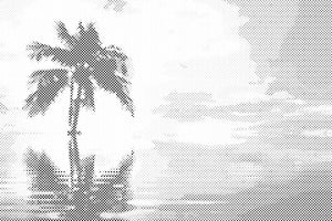 Palma na moru - Dottingo