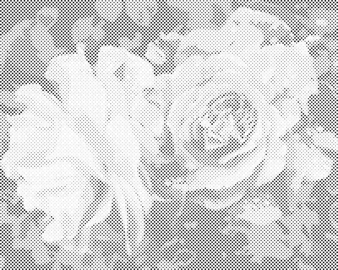 Ruža, cvijeće ljepote - Dottingo