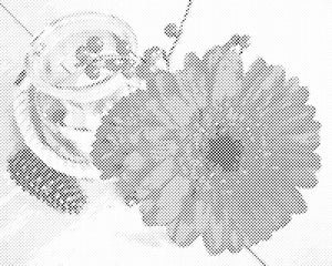 Gerbera i svijeća - Dottingo