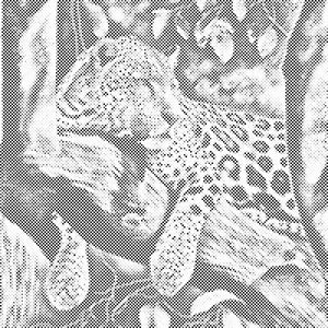 Pjegavi leopard - Dottingo