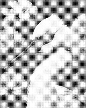 Čaplja 2 - Dottingo