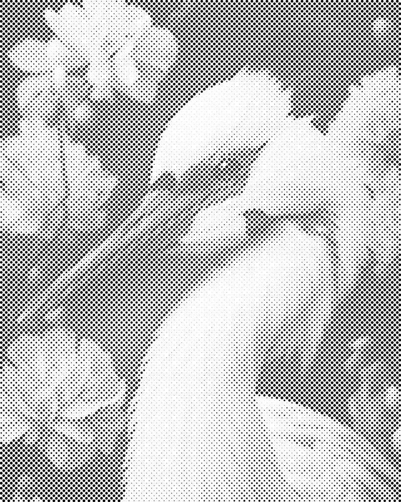 Čaplja 2 - Dottingo