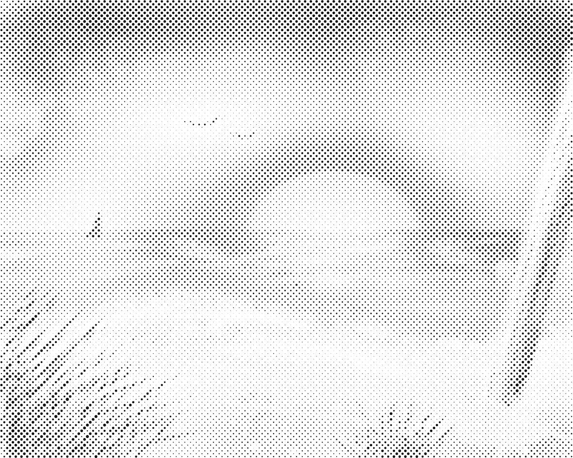 Oslikana plaža - Dottingo