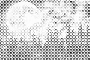 Pun mjesec nad šumom - Dottingo