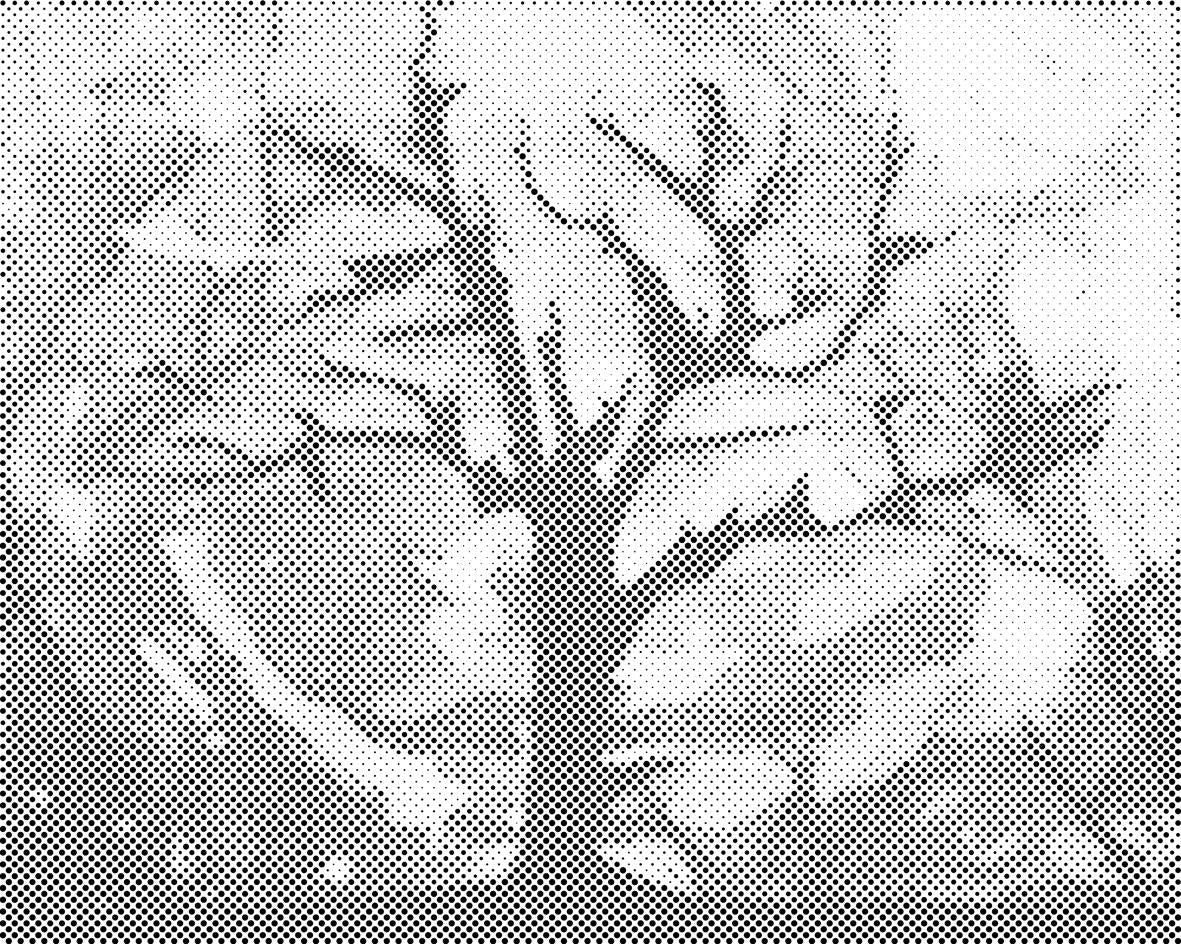 Stablo s očaravajućom pozadinom - Dottingo