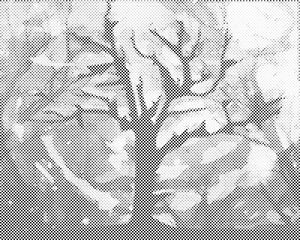 Stablo s očaravajućom pozadinom - Dottingo