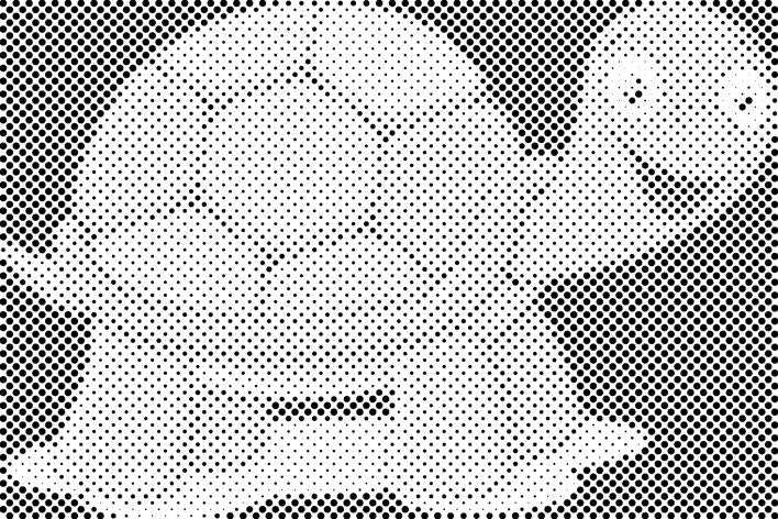 Kornjača - Dottingo