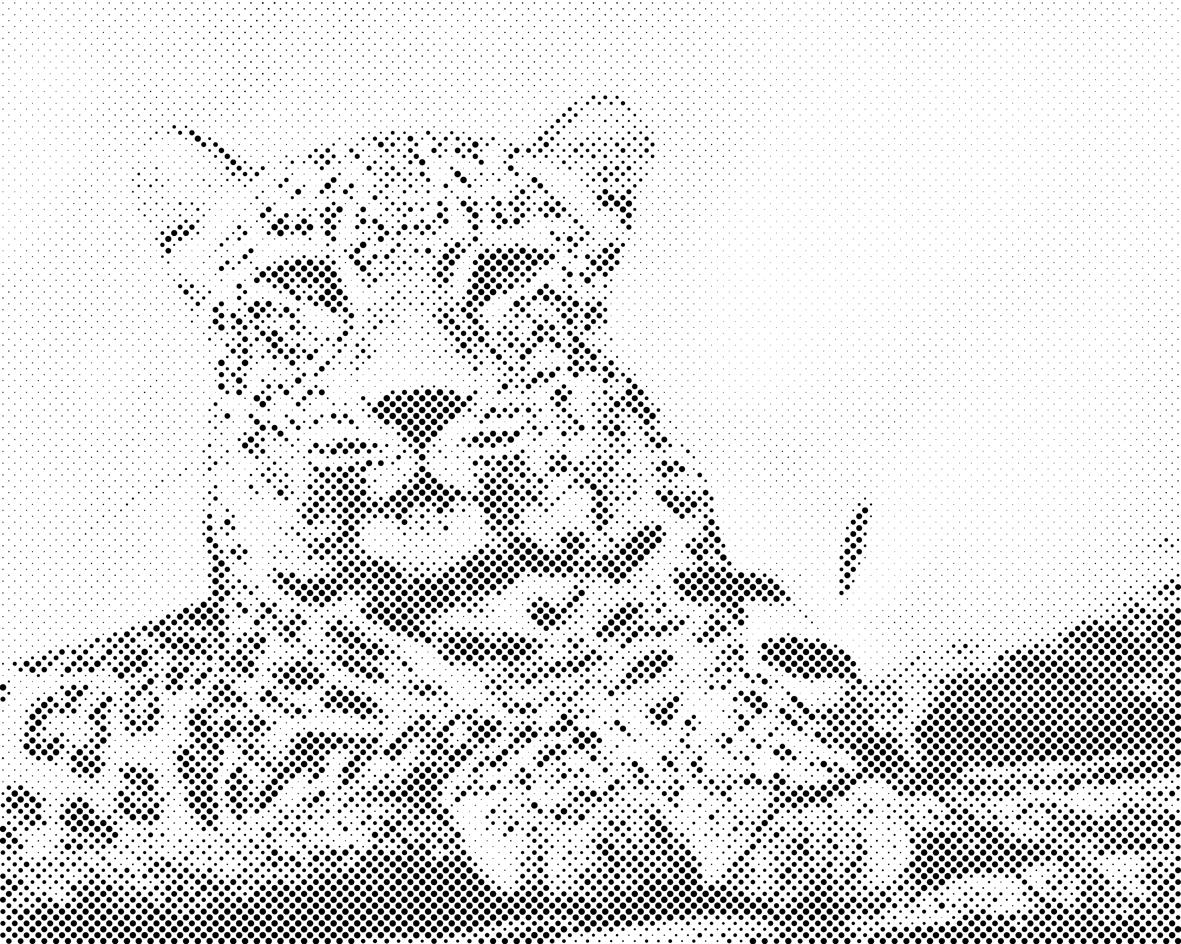 Divlja mačka - Dottingo