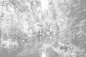 Planine Bucegi, Rumunjska 2 - Dottingo