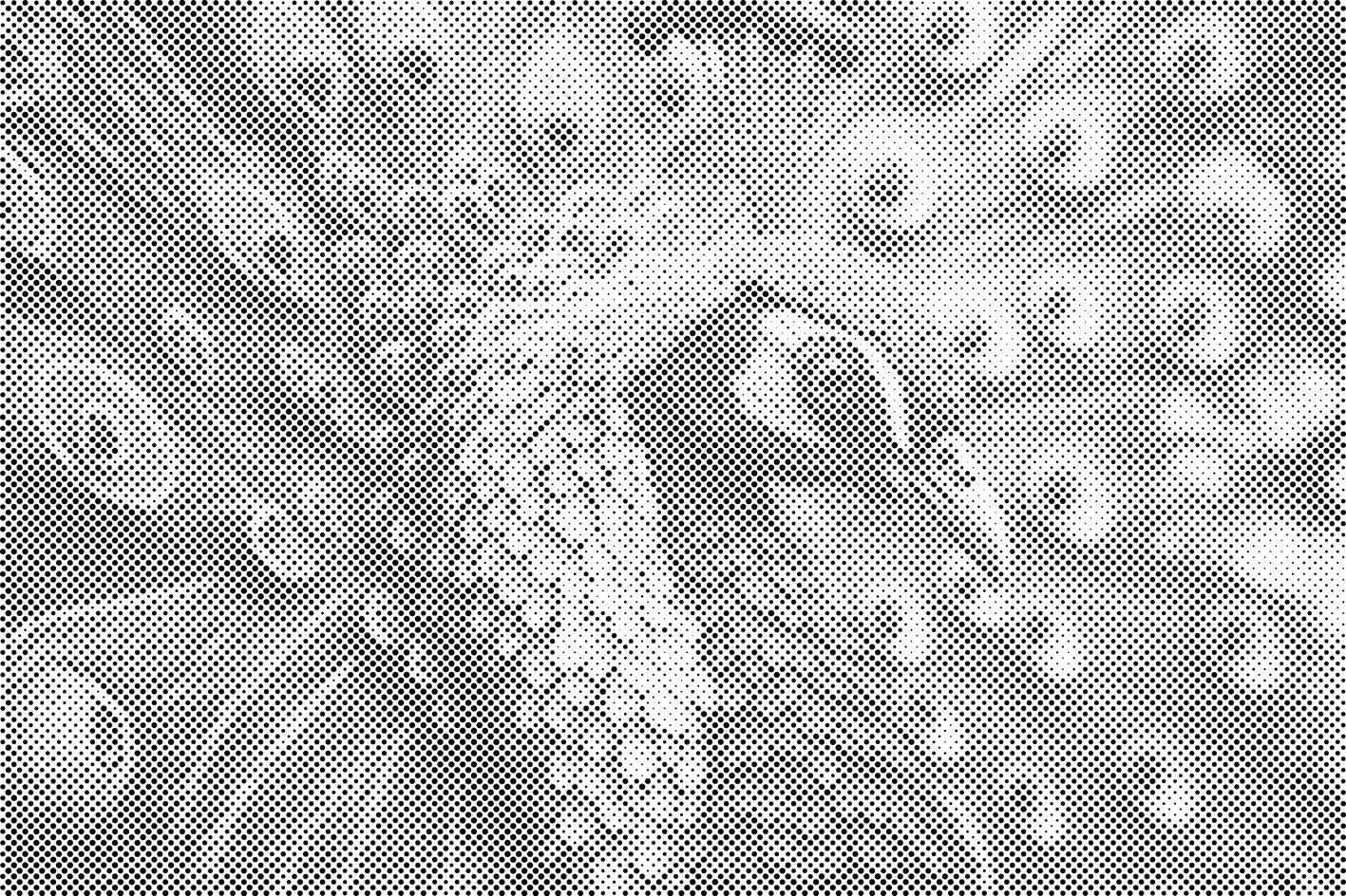 Indijski paun - Dottingo