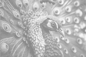 Indijski paun - Dottingo