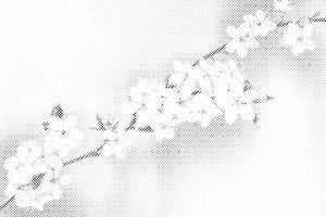 Cvjetno drvo - Dottingo