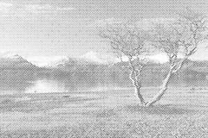 Keswick, Engleska2 - Dottingo