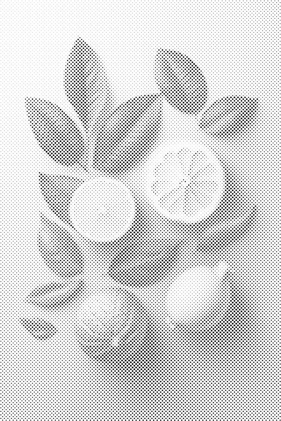 Citrusi pozadina - Dottingo