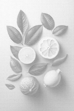 Citrusi pozadina - Dottingo