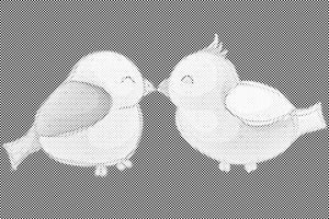 Agapornis - Dottingo