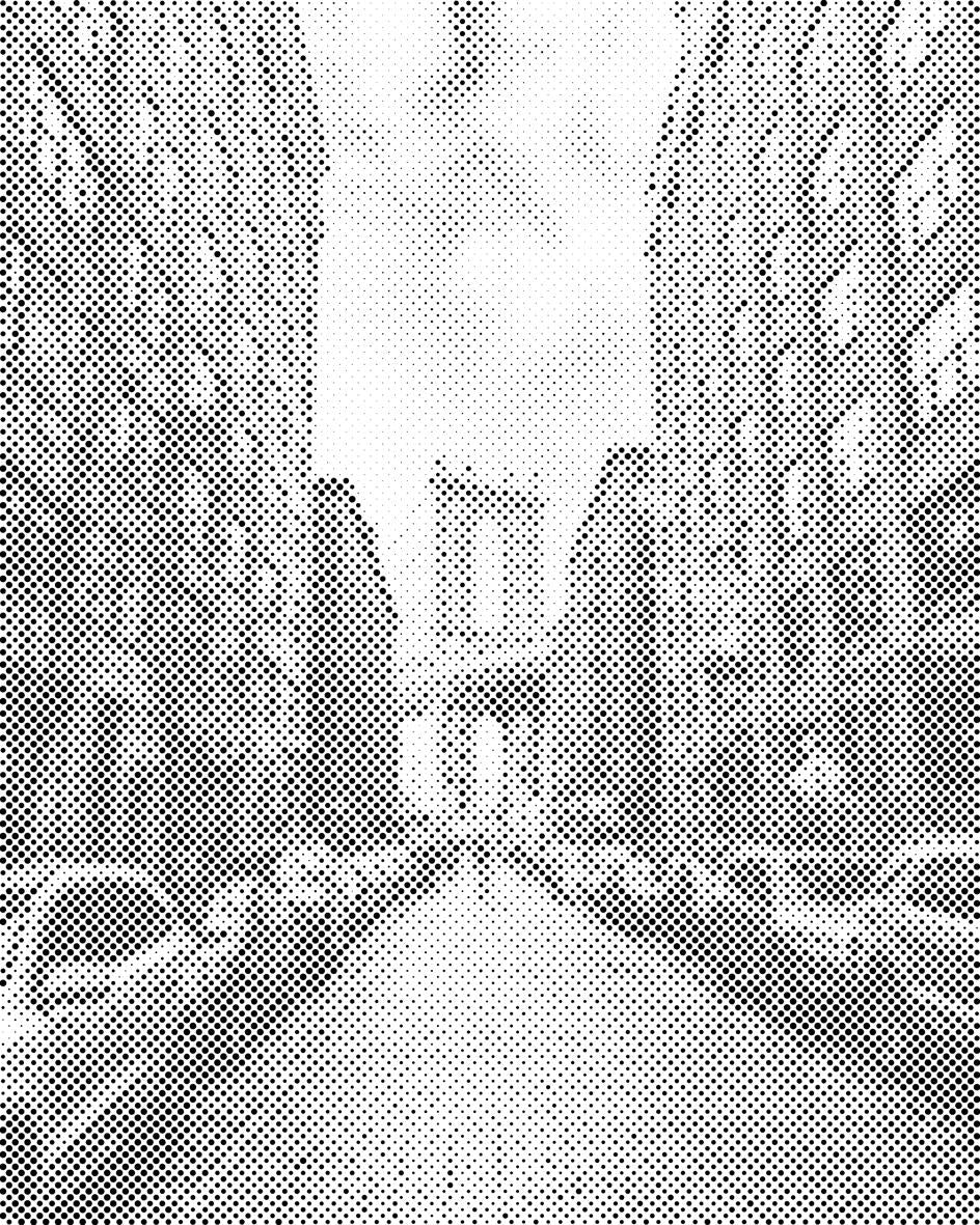 Brooklynski most 2 - Dottingo