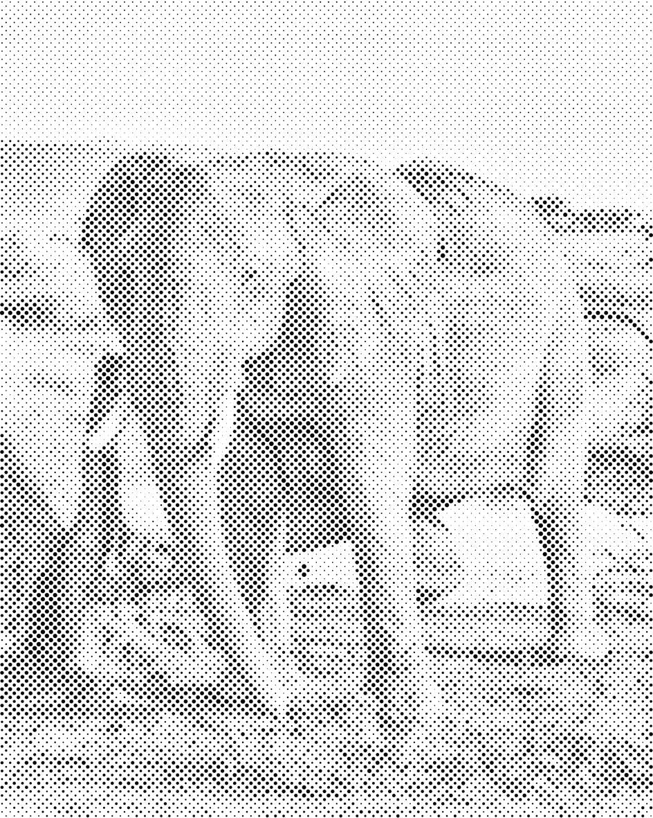 Safari - Slon - Dottingo