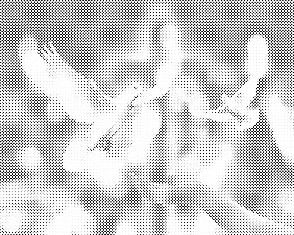 Golubovi mira - Dottingo